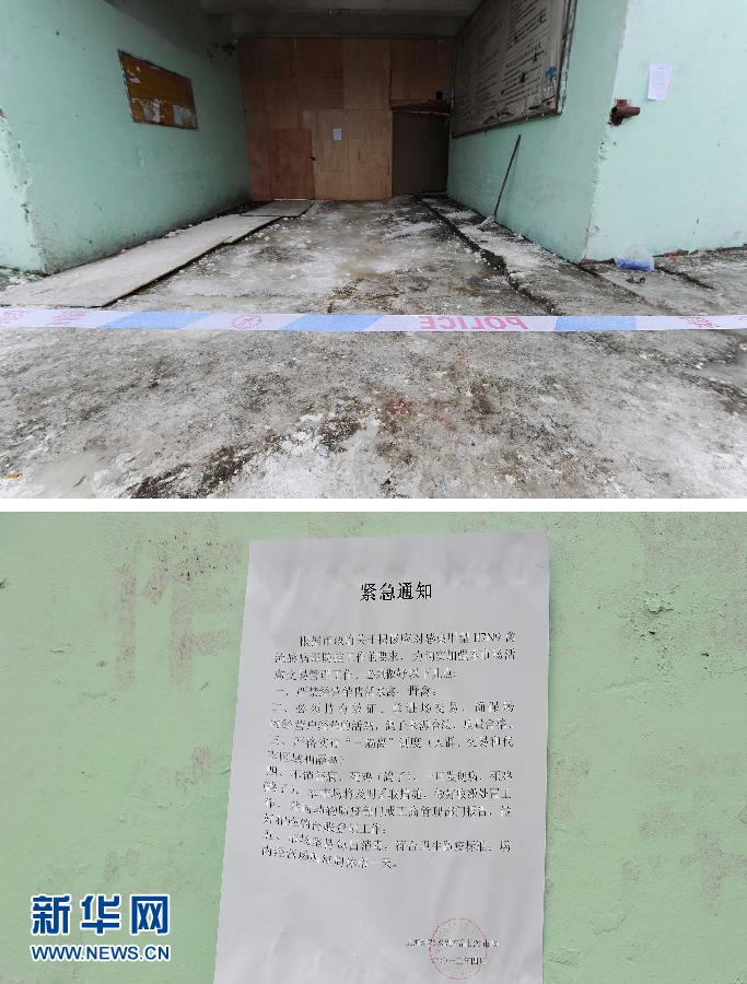 上海6日起暫?；钋萁灰?關閉所有活禽交易市場