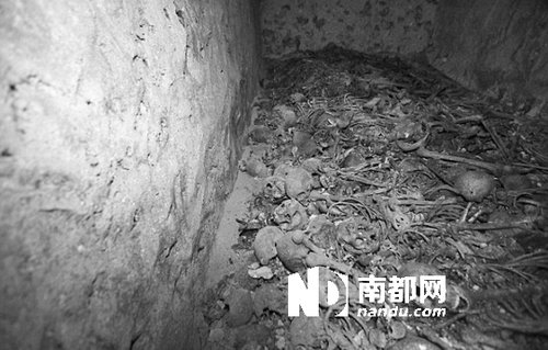 　5月29日，在以色列特拉維夫市雅法地區(qū)，一處集體墳?zāi)贡话l(fā)現(xiàn)。