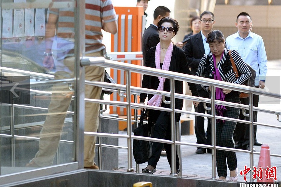 夢鴿現(xiàn)身海淀法院。中新網(wǎng)記者 金碩 攝