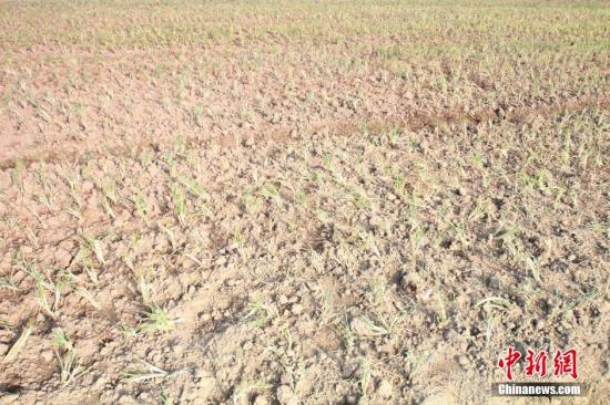 2014年7月31日早晨，浙江紹興市區(qū)蔬菜批發(fā)市場(chǎng)旁邊的土地已經(jīng)發(fā)生開(kāi)裂。