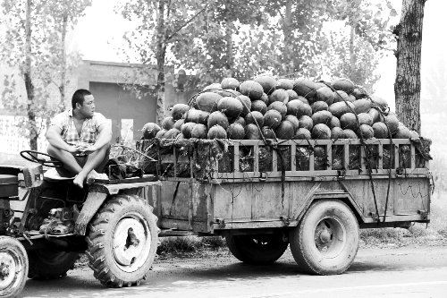 　看著滿滿一車瓜，一瓜農(nóng)愁眉不展。