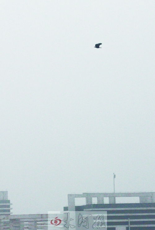 全省35個(gè)縣市發(fā)布惡劣天氣預(yù)警信號(hào)，其中15個(gè)發(fā)布大霧紅色預(yù)警