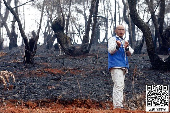 山林被燒得滿目瘡痍。
