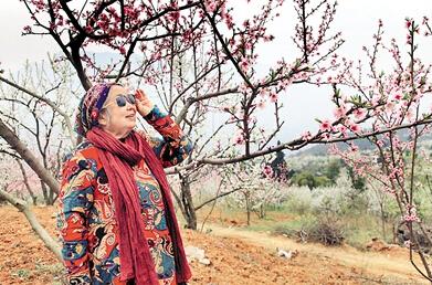 公式“時尚奶奶”的賞花照，收獲了好多人的點贊。 受訪者供圖