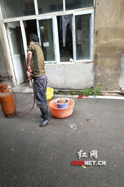 5月8日，男子在校園里殺狗，地上殘留一塊血跡。目擊者供圖。