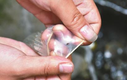 避孕套存在小孔。