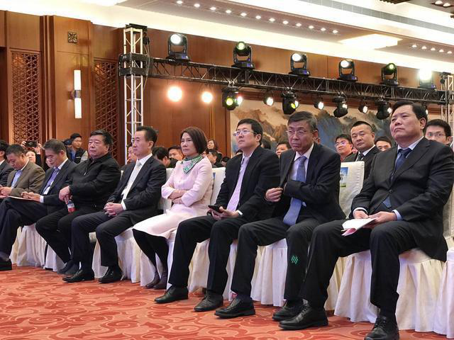 董明珠在現(xiàn)場(chǎng)演講時(shí)表示，她愿意拿她所有的資產(chǎn)投入到珠海銀隆里。據(jù)悉，同時(shí)與珠海銀隆原始股東共同簽署增資協(xié)議的，還有董明珠個(gè)人及北京燕趙匯金國(guó)際投資有限責(zé)任公司、大連萬(wàn)達(dá)集團(tuán)股份有限公司、江蘇京東邦能投資管理有限公司等3家知名企業(yè)，5家單位或個(gè)人共同增資30億，獲得珠海銀隆22.388%的股權(quán)。