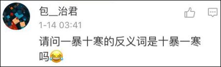 鶴立雞群？雞立鶴群！