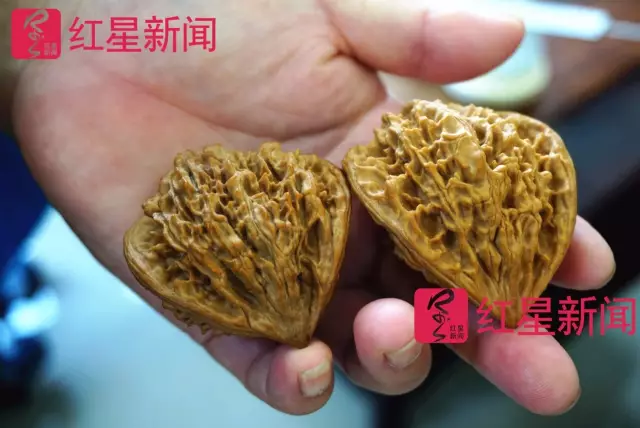 文玩核桃遇冷由幾萬一對降到5元沒人要？商戶否認(rèn)