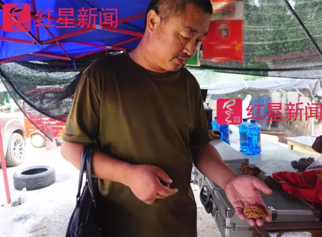 文玩核桃遇冷由幾萬一對降到5元沒人要？商戶否認(rèn)