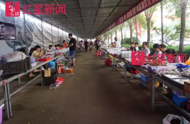 文玩核桃遇冷由幾萬一對降到5元沒人要？商戶否認(rèn)