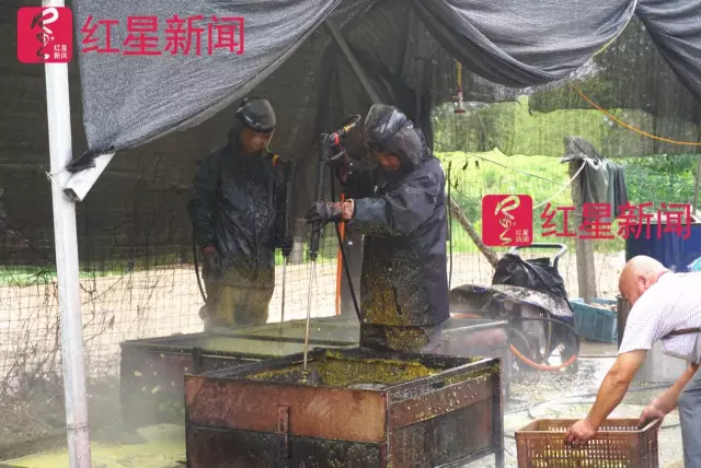 文玩核桃遇冷由幾萬一對降到5元沒人要？商戶否認(rèn)