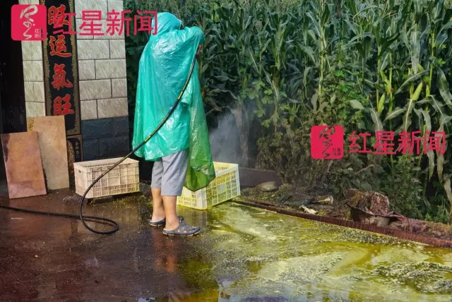 文玩核桃遇冷由幾萬一對降到5元沒人要？商戶否認(rèn)