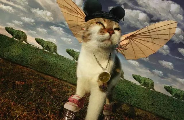 一只虛擬寵物貓叫價13億元？云養(yǎng)貓成真