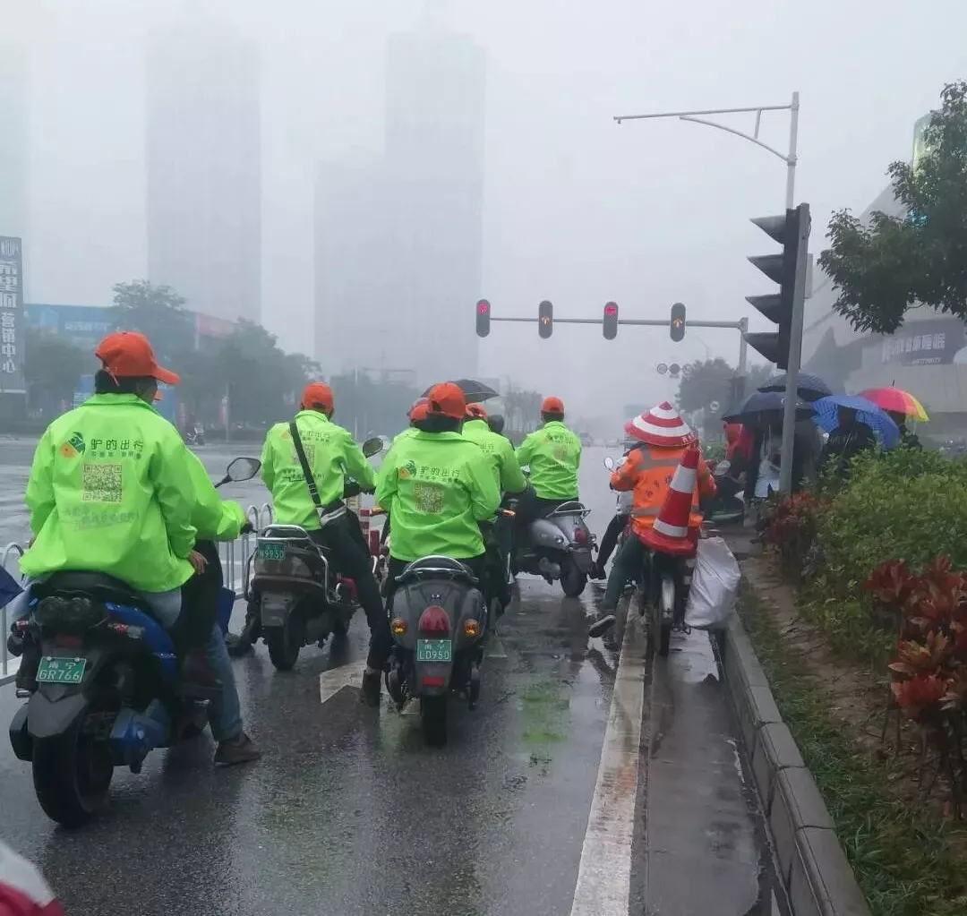 出門打驢？ 南寧“滴滴打驢”被緊急叫停