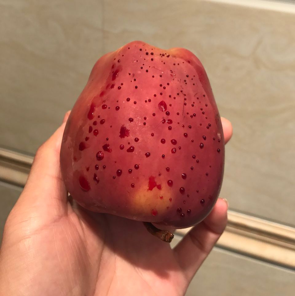 嚇懵！女子用熱水泡蘋果結(jié)果冒出血珠 咋回事？