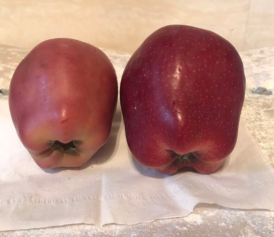 嚇懵！女子用熱水泡蘋果結(jié)果冒出血珠 咋回事？