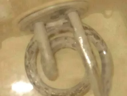 太惡心！女游客竟用酒店燒水壺煮自己的臟內褲