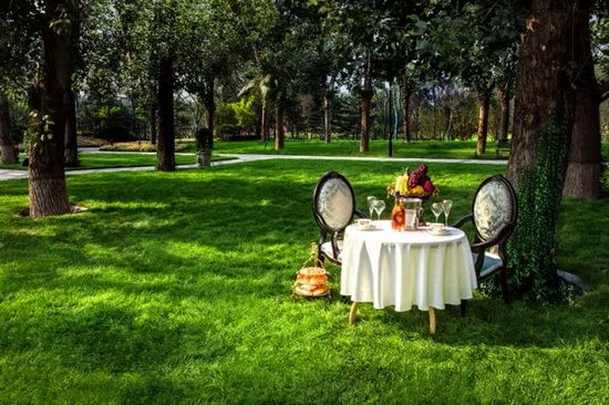 秋陽(yáng)鴻園，芳草青青