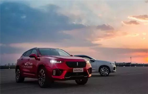 去年“蹦”出來(lái)的新汽車(chē)品牌們，現(xiàn)在活得怎么樣了？