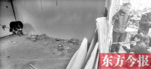 12月4日，鄭州市未來路與隴海路交叉口西側，執(zhí)法人員用吹管麻醉針對付一只藏獒