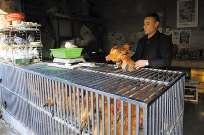 南京另一家農(nóng)貿(mào)市場(chǎng)內(nèi)待售的活雞。因南京出現(xiàn)H7N9禽流病例，買活雞的顧客減少。