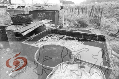 　　骯臟、令人作嘔的油桶凌亂地?cái)[放在院子里，為了避免視覺刺激，我們把它做成了黑白圖片。