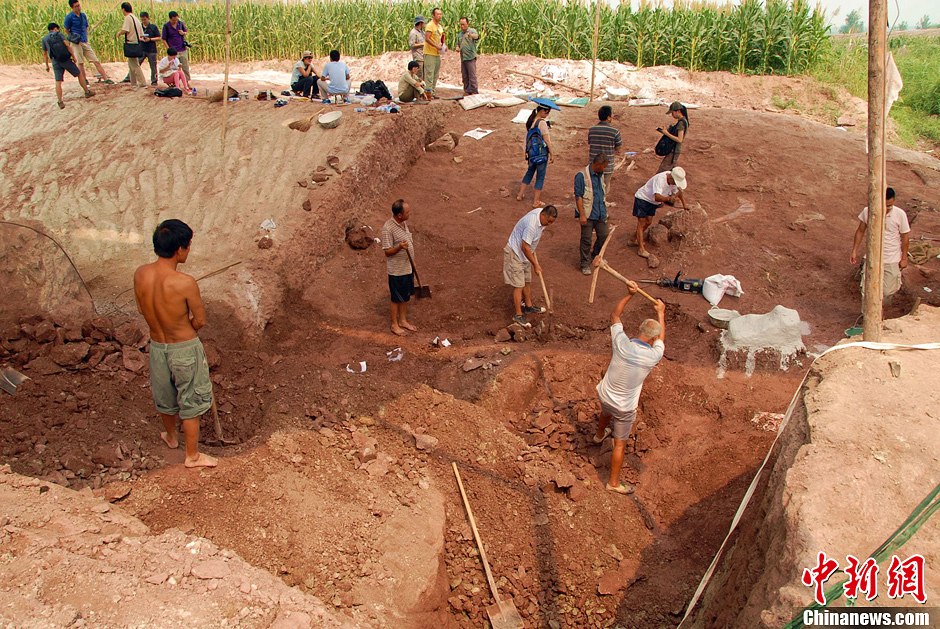 恐龍化石發(fā)掘現(xiàn)場。