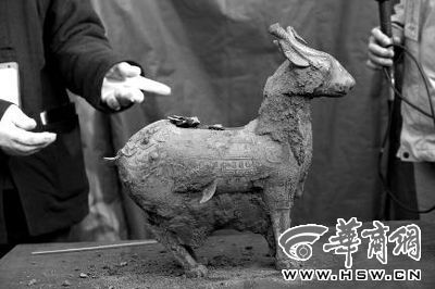 一件似羊似鹿的犧尊華麗亮相，可愛的造型“萌翻”現(xiàn)場。