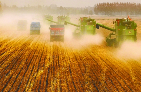 田里，一臺(tái)臺(tái)收割機(jī)唱著豐收歌。