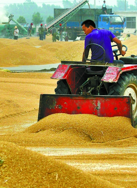 精心晾曬，散倉(cāng)入庫(kù)。