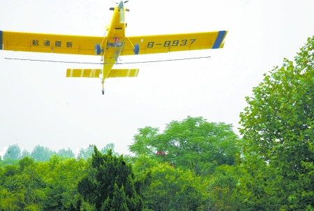 飛機灑藥滅蟲護(hù)林