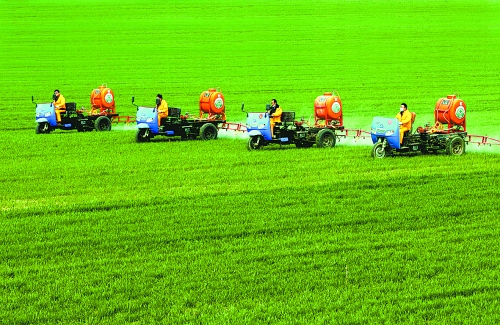 車載噴霧機(jī)奔駛在萬畝高產(chǎn)田里。