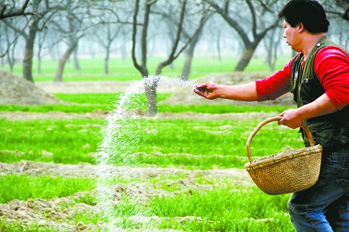 3月18日，內(nèi)黃縣城關(guān)鎮(zhèn)農(nóng)民在給小麥?zhǔn)┓省Ｑ巯抡嵌←湻登嗟年P(guān)鍵時(shí)期，內(nèi)黃縣廣大農(nóng)民積極開展以澆水