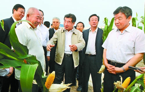 圖為回良玉在鄧州市腰店鄉(xiāng)草寺村視察萬畝玉米高產(chǎn)示范方。