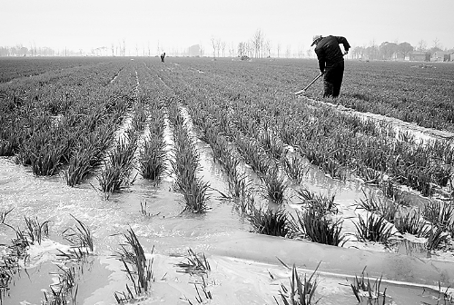 3月25日，濮陽縣郎中鄉(xiāng)大趙寨村農(nóng)民在為小麥澆水。連日來，濮陽縣廣大農(nóng)民不誤農(nóng)時，及時為麥田施肥、澆