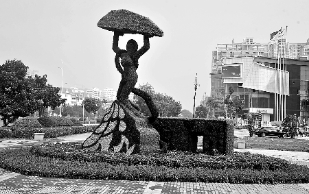 8月28日，南陽街頭繁花似錦，市民宛若行走在花海之中。