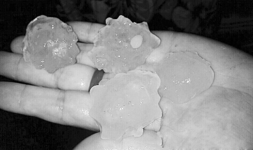 昨天凌晨，三門峽下起了冰雹，最大直徑近1厘米 微博截圖