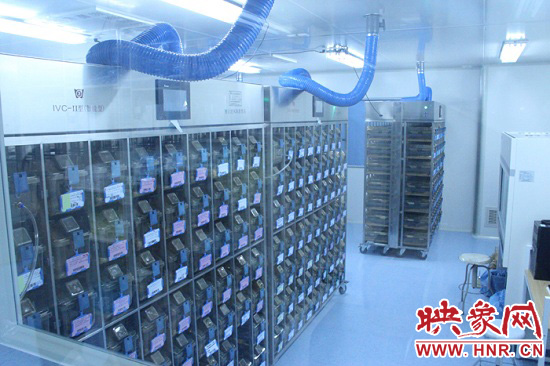 “鼠村”里每一個籠子是一家?！按濉崩镒≈?萬只左右的小鼠