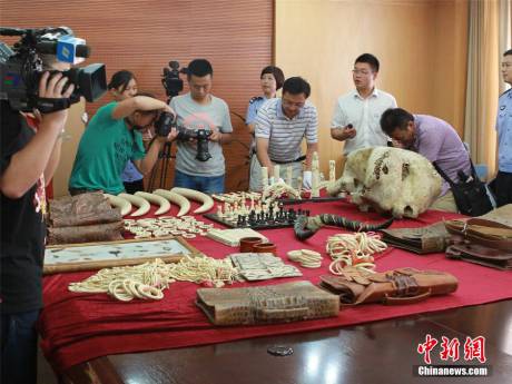 寧波海關(guān)查獲走私珍貴動(dòng)物制品
