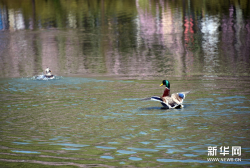 莫負人間四月天 莫負人間四月天