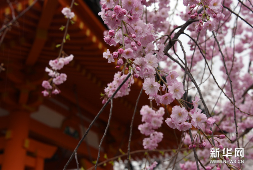 莫負人間四月天 莫負人間四月天