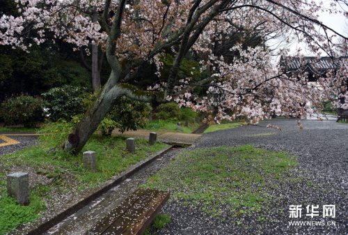 莫負人間四月天 莫負人間四月天