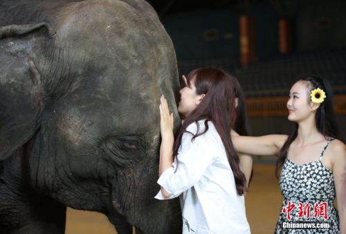 學(xué)生參加?；ㄐ２荽筚?穿比基尼秀身材