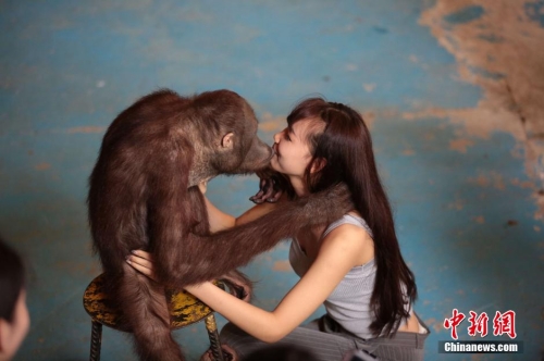 學(xué)生參加?；ㄐ２荽筚?穿比基尼秀身材