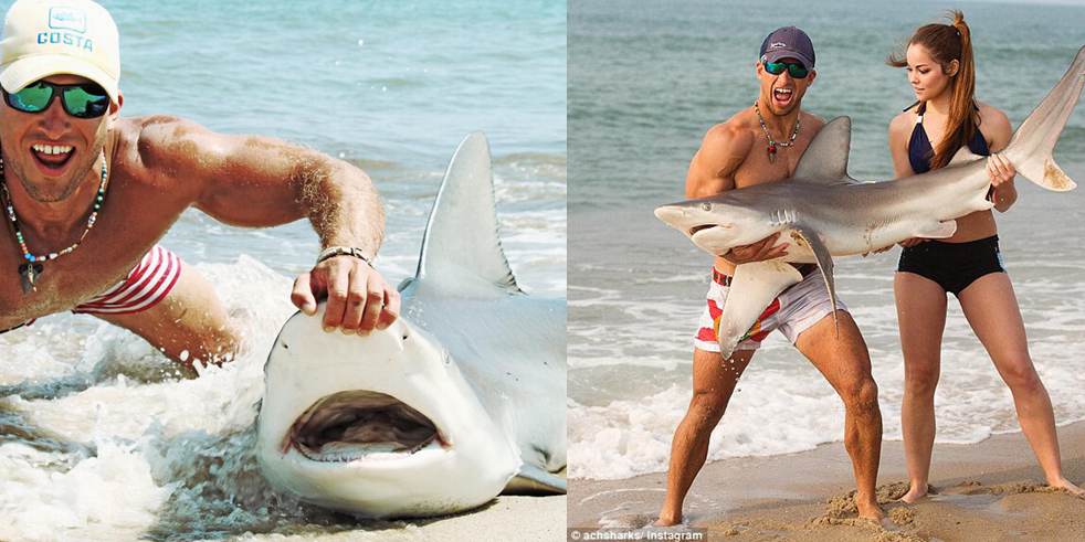 男子徒手抓鯊魚走紅網絡