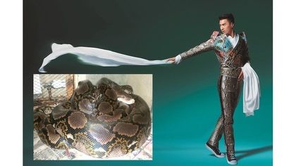 趙又廷穿蛇皮為公益慈善活動拍照 趙又廷穿蛇皮為公益慈善活動拍照