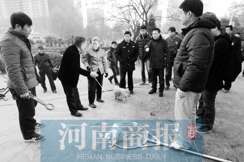 一只辦過(guò)狗證的小白狗，因?yàn)闆](méi)有拴犬鏈，被執(zhí)法人員暫扣