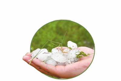 冰雹化了一些,還有這么大。