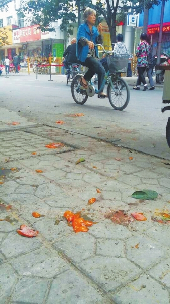 爛了一地的柿子影響市容，還常?；谷?。